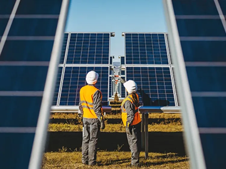 Colleagues in hardhat and safety vest looking at solar panels.