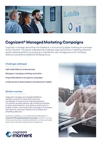 Flyer showing managed marketing campaign services, with charts and digital analytics visuals